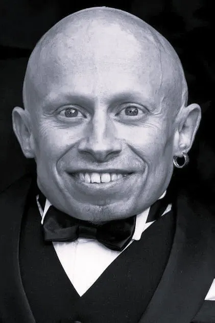 Верн Тройер