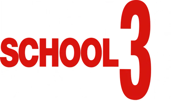 As seniors in high school, Troy and Gabriella struggle with the idea of being separated from one another as college approaches. Along with the rest of the Wildcats, they stage a spring musical to address their experiences, hopes and fears about their future.