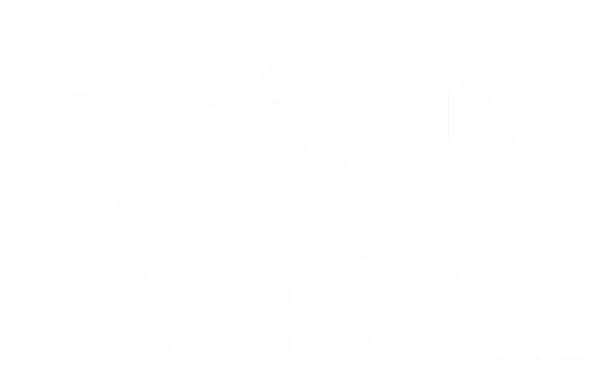 The adventure of Bella, a dog who embarks on an epic 400-mile journey home after she is separated from her beloved human.