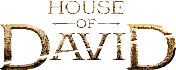 Tells the story of the ascent of the biblical figure, David, who becomes the most celebrated king of Israel. The series follows the once-mighty King Saul as he falls victim to his own pride. At the direction of God, the prophet Samuel anoints an unlikely, outcast teenager as the new king.