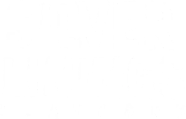 After losing his job and wife, and spending time in an institution, a former teacher winds up living with his parents. He wants to rebuild his life and reconcile with his wife, but his father would be happy if he shared his obsession with the Philadelphia Eagles. Things get complicated when he meets Tiffany Maxwell who offers to help him reconnect with his wife if he will do something very important for her in exchange.