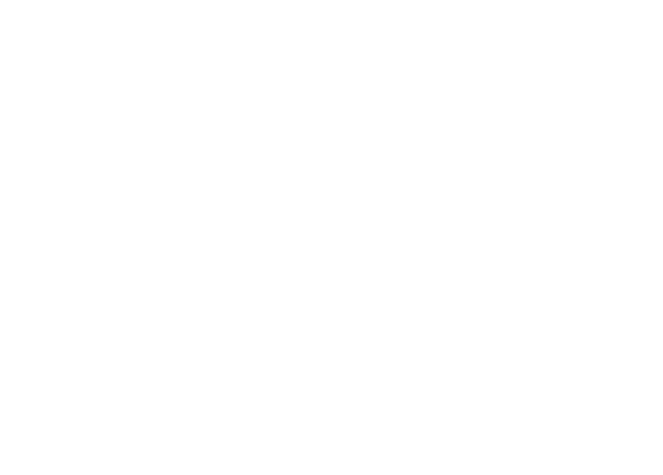 Lou Clark, a directionless 26-year-old from the English countryside, takes a job at the local castle as a caregiver and companion to a wealthy young banker, Will Traynor. Wheelchair-bound from an accident two years prior, the once adventurous Will has all but given up — that is until Lou determines to show him that life is worth living.