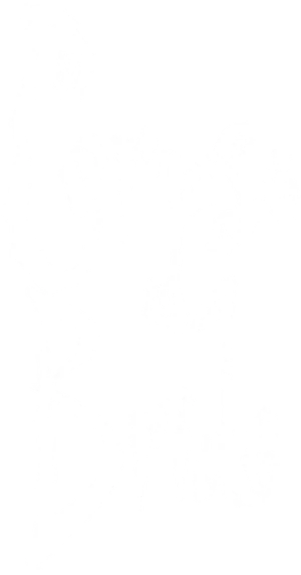 In a 19th-century European village, a young man about to be married is whisked away to the underworld and wed to a mysterious corpse bride, while his real bride waits bereft in the land of the living.