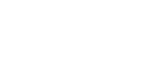 Set during the Cold War period in the 1980s, The Americans is the story of Elizabeth and Philip Jennings, two Soviet KGB officers posing as an American married couple in the suburbs of Washington D.C. and their neighbor, Stan Beeman, an FBI Counterintelligence agent.