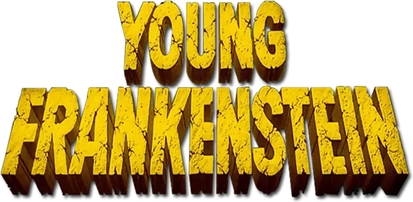 A young neurosurgeon inherits the castle of his grandfather, the famous Dr. Victor von Frankenstein. In the castle he finds a funny hunchback, a pretty lab assistant and the elderly housekeeper. Young Frankenstein believes that the work of his grandfather was delusional, but when he discovers the book where the mad doctor described his reanimation experiment, he suddenly changes his mind.