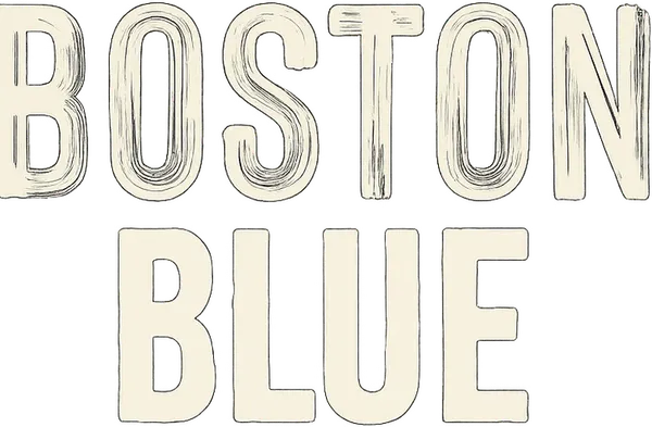 NYPD Detective Danny Reagan takes a job with the Boston PD and is paired with Detective Lena Silver, part of a law enforcement family comprised of District Attorney Mae Silver, Police Superintendent Sarah Silver, rookie cop Jonah Silver and Rev. Edwin Peters. Reagan hopes to reconnect with his son, Sean, in Boston.