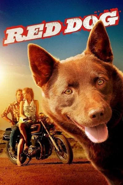 Рыжий пёс