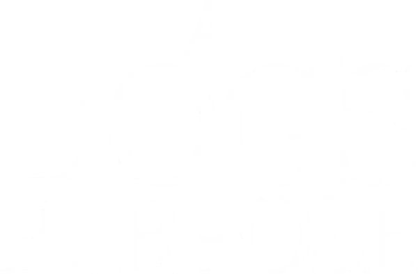 A dog goes on quest to discover his purpose in life over the course of several lifetimes with multiple owners.