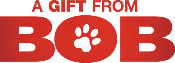 James Bowen finds himself the target of an animal welfare investigation that threatens to take away his beloved cat, Bob, at Christmas.